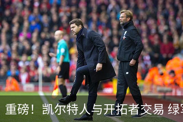 重磅！凯尔特人与开拓者交易 绿军得到霍勒迪