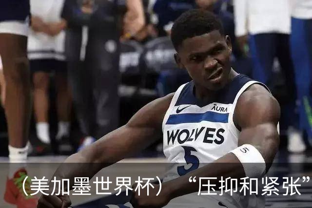 （美加墨世界杯）“压抑和紧张”中的伊朗队首秀
